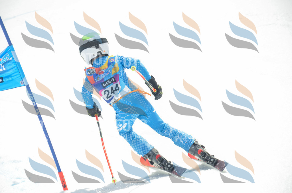 _ELE7475 | holidayphoto