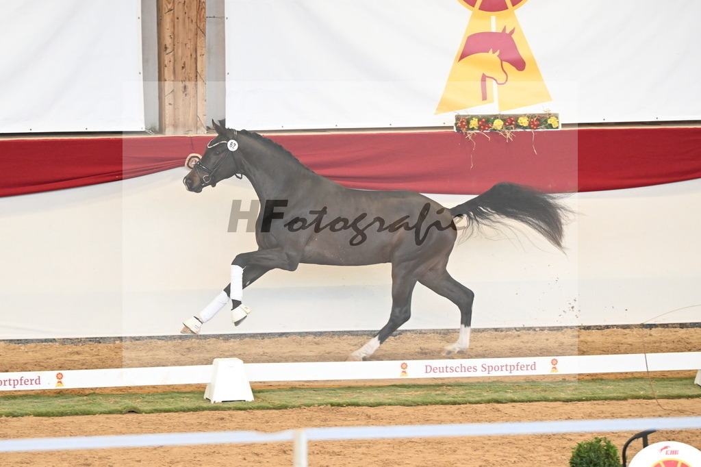Kat.-Nr. 62 v. Franklin_Stockbrink_3260745 | hf-fotografie - Realisiert mit Pictrs.com