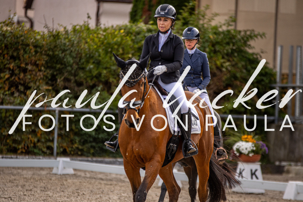 IMG_3153 | Erleben Sie dynamische Sport- und emotionale Tierfotografie in Süddeutschland mit Fotos von Paula. Spezialisiert auf Pferde- und Hundefotografie sowie Sportevents. Kontaktieren Sie mich für einzigartige und ausdrucksstarke Bilder Ihrer besonderen Momente.