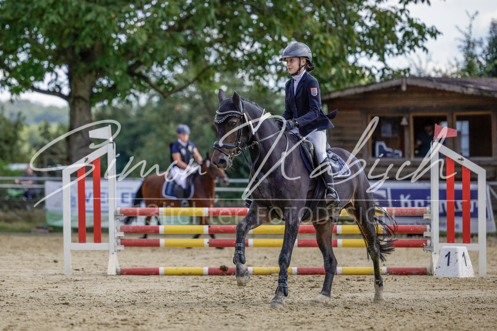 20250906-_3LI6686 | Tierfotografie Pferde, Hunde, Katzen, Haustiere.
Turnierfotografie Reitturniere, Reiten, Springreiten, Dressur in Hanau, dem Main-Kinzig-Kreis und dem Rhein-Main- Gebiet um Frankfurt
