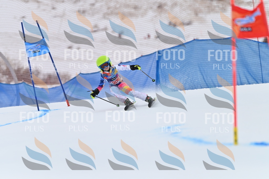 BGV_2349 | holidayphoto