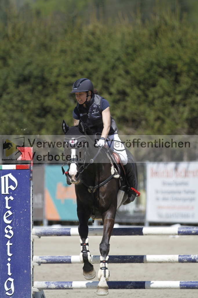 _MG_6627 | equestrian-live-com