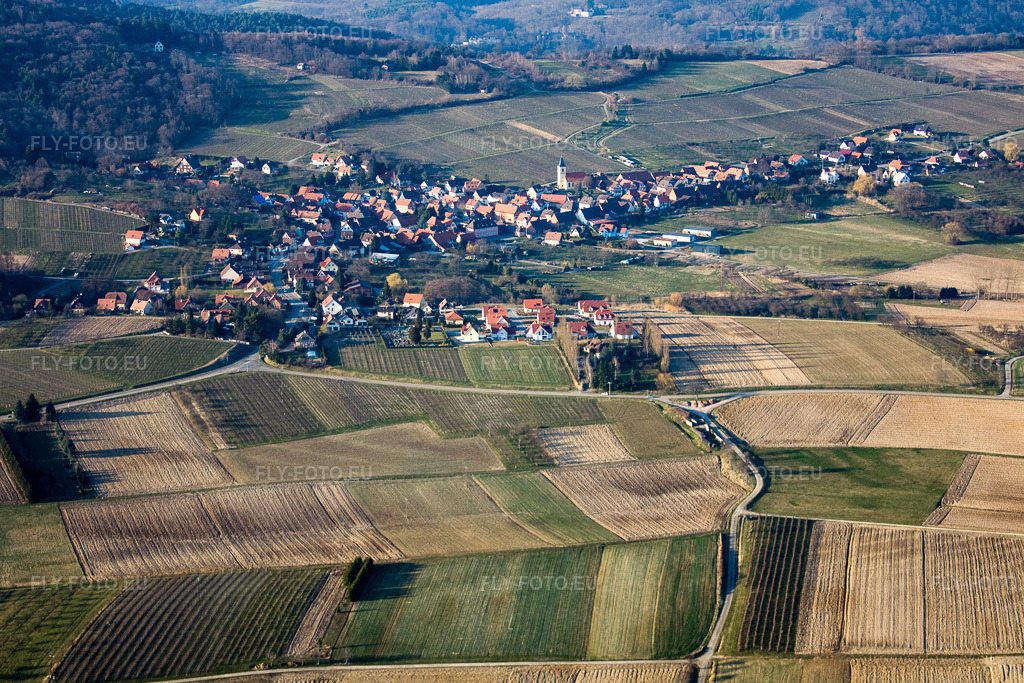 Vue aérienne: Vue de la ville à Steinseltz dans le département Bas Rhin, France. Photo: IMG_17488.jpg prise le 21/03/2009 par Werner Riehm/FLY-FOTO.eu – Résolution de l'original: 4079 x 2719 px