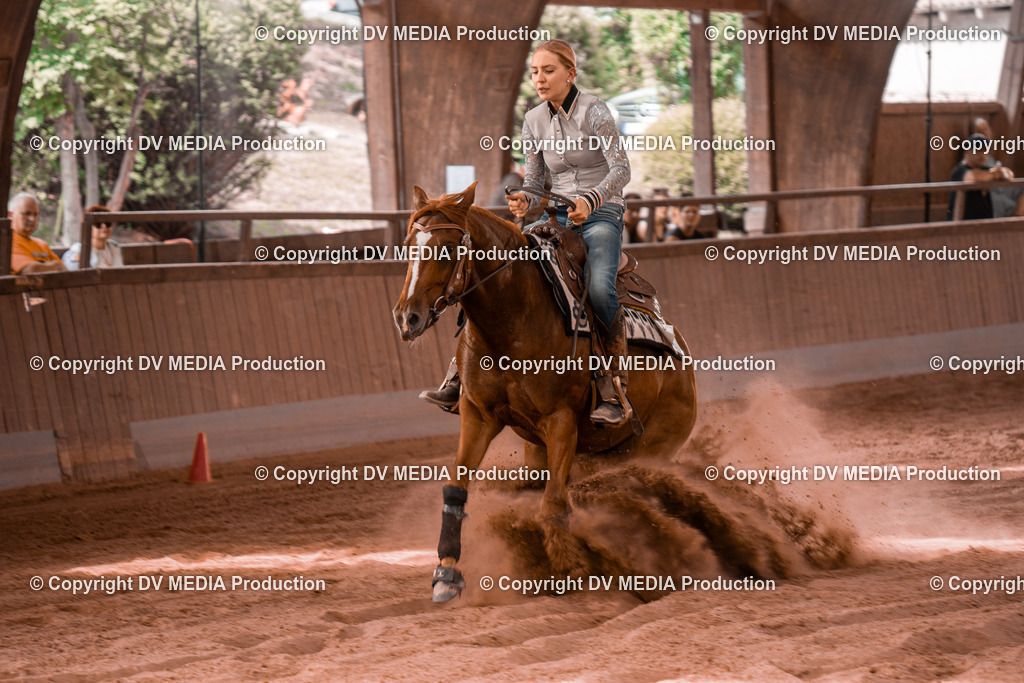 NE300701 | dv-media-shop - Realisiert mit Pictrs.com