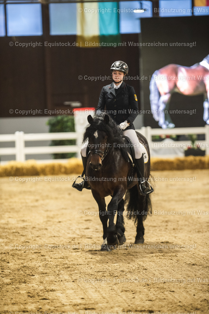 20240302_Hengstvorstellung_Marbach_TOMsPiC_0273-2 | equistock