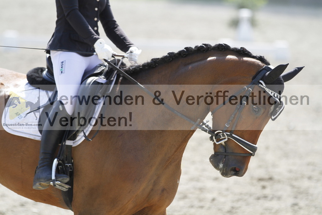 _MG_2061 | equestrian-live-com