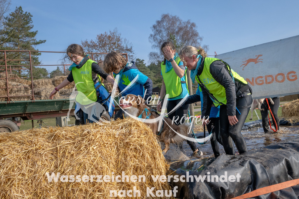 _ZZ91150 | kk-dogfotos