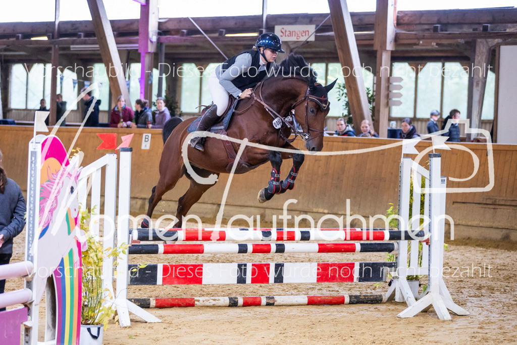 Sth-A-Springen-131 | MomenTaufnahmen Pferdesportfotos