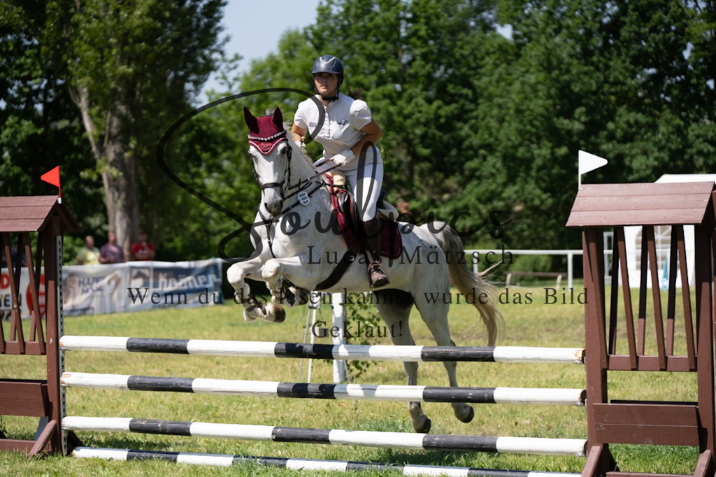 A7V05855 | Pferdefotograf