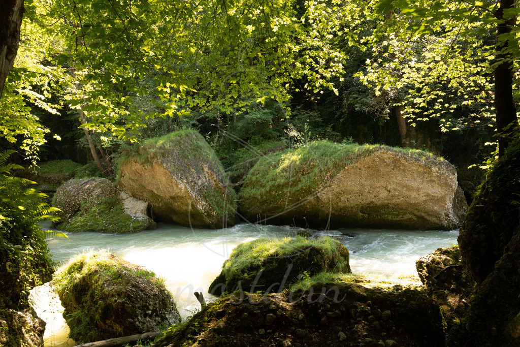 Erlaufschlucht Purgstall an der Erlauf | Bei Veröffentlichung des Bildes ist eine Namensnennung wie folgt erforderlich: 
Foto: Mostdirn Irmgard Wieser - Realisiert mit Pictrs.com