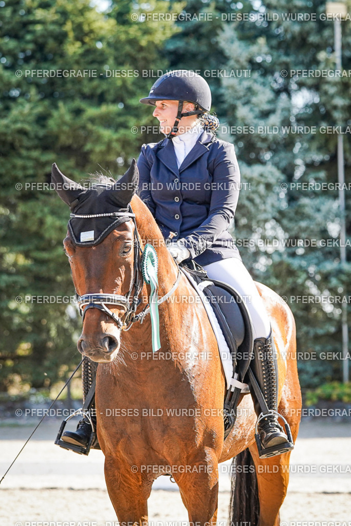 DSC00167 | Pferdegrafie