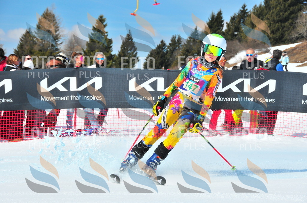 DSC_1267 | holidayphoto