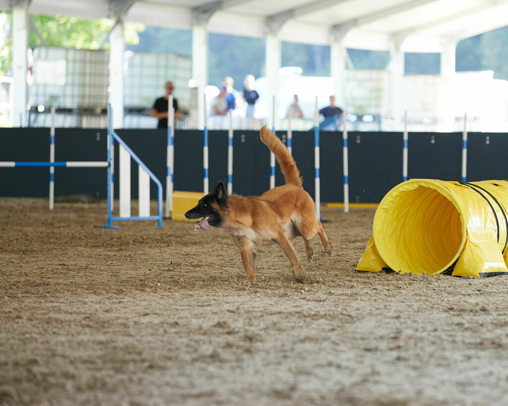 580A0054 | Peter Fridle Fotografie - Realisiert mit Pictrs.com