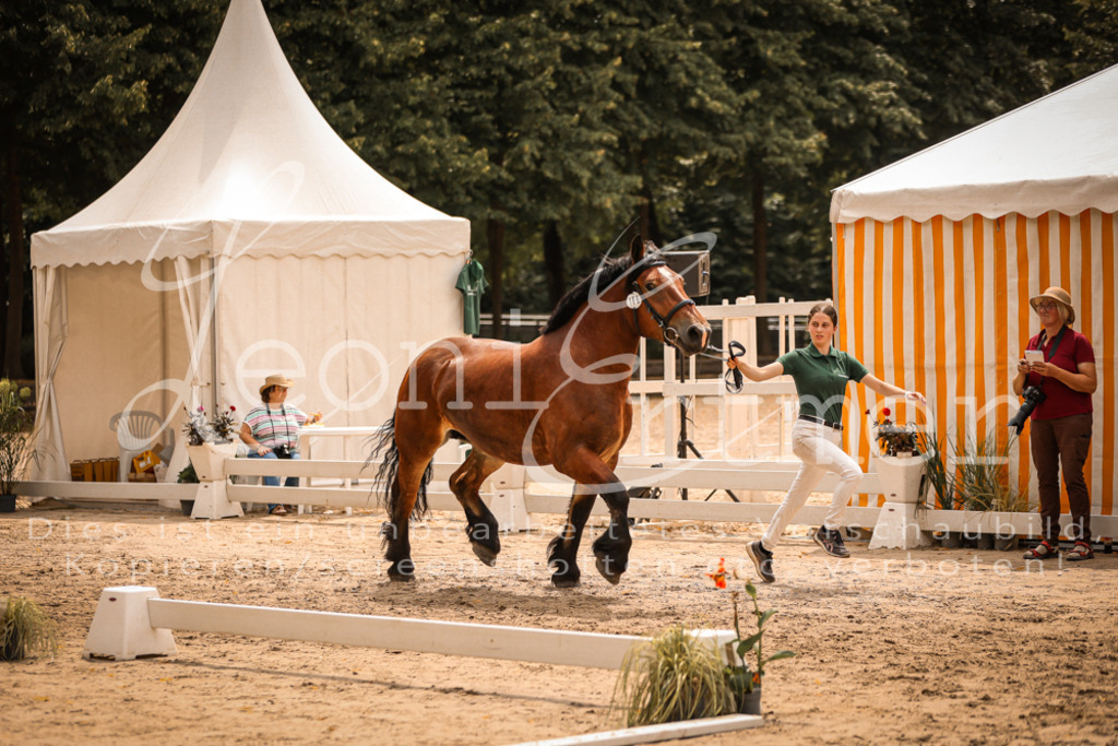 SaSieger00028 | Leoni Ertmer Photography - Realisiert mit Pictrs.com