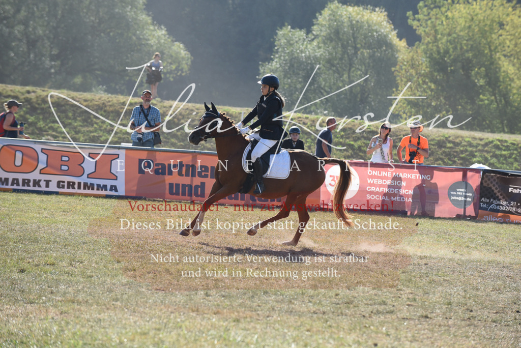 DSC_5919 | Pferde- und Turnierfotografie in Westsachsen. Pferdeportraits, Auftragszeichnungen und intuitive Kunst.