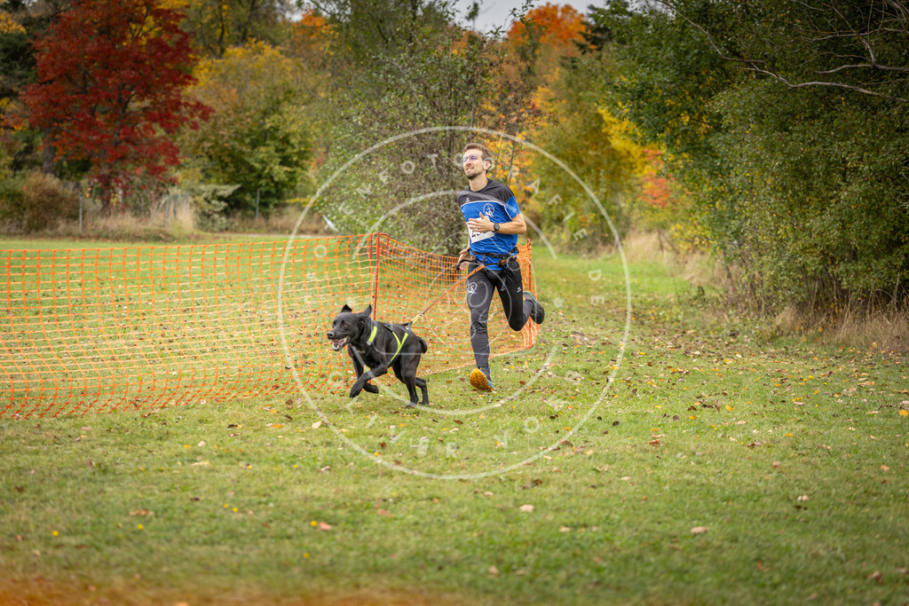 Pfotenfotografie_DV3A4339 | Hundefotografie, Tierfotograf, Pfotenfotografie, Fotoshooting Hund, Hunde Portrait, Hundesport, Hundeportraits, Heideshooting, Hunde, Sportfotograf, Hundefotograf, Turnierhundsport, THS,  - Realisiert mit Pictrs.com