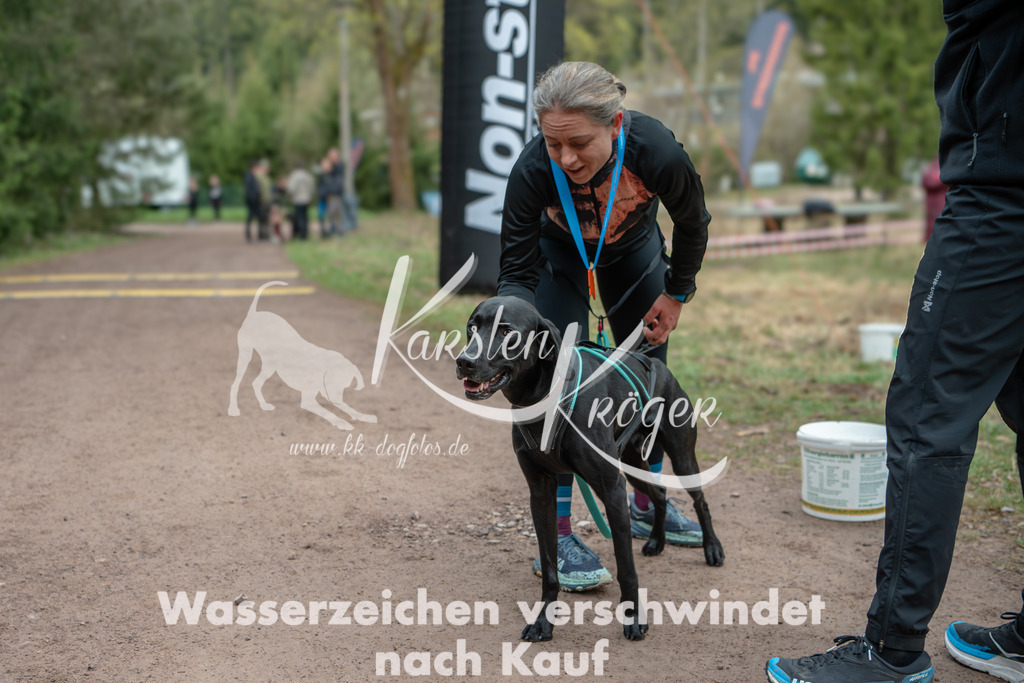 0817DZ6_0536 | kk-dogfotos