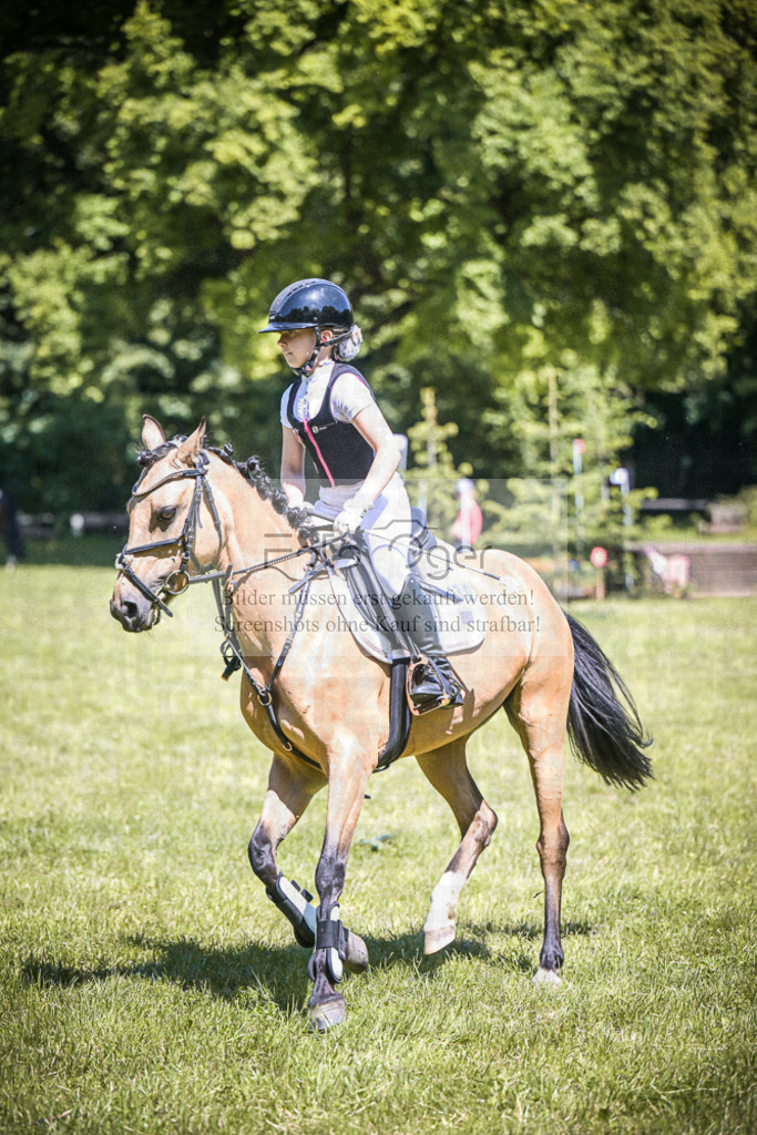 DOS_4190 | Entdecke hochwertige Reitturnierfotos von Foto Oger. Professionell, emotional und authentisch – jetzt Lieblingsmomente im Shop bestellen.Deutschlandweite Turnierfotografie. - Realisiert mit Pictrs.com
