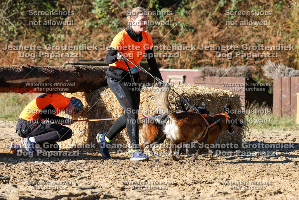 Dog Paparazzi - Strongdog 10-25-2025 | Dog Paparazzi Jeanette Grottendiek Fotografie & Videografie