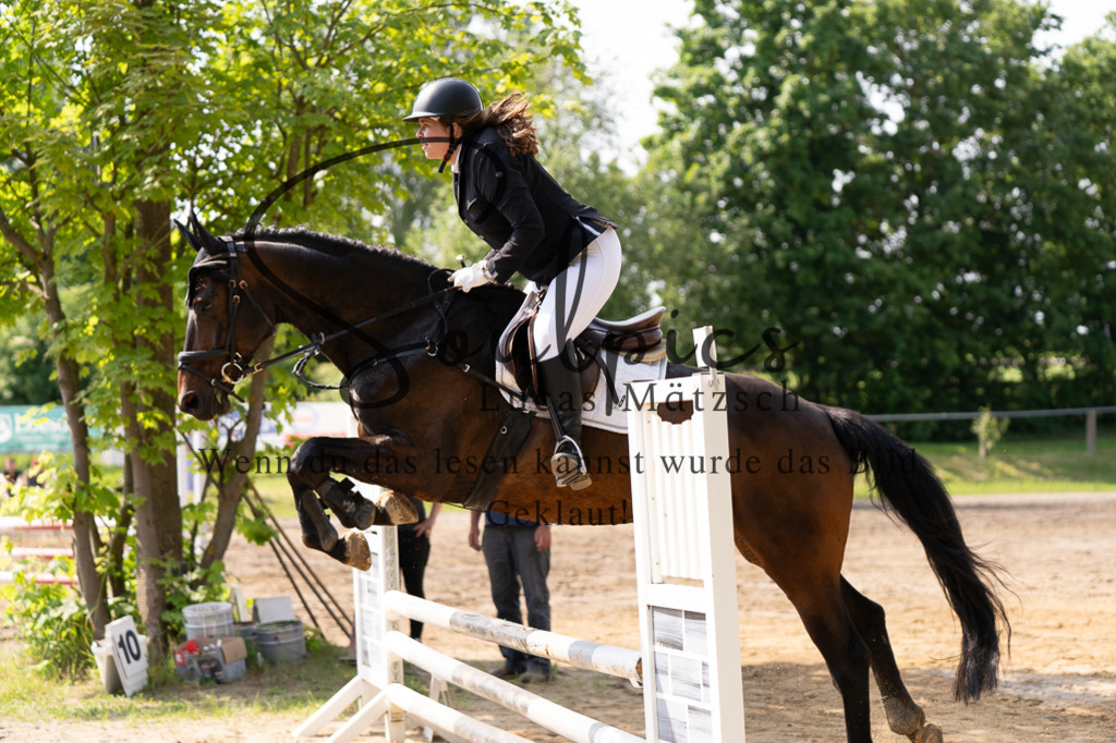 A7507418 | Turnier/Reitfotograf