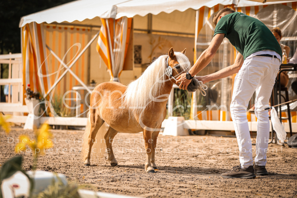 01.So00003 | Leoni Ertmer Photography - Realisiert mit Pictrs.com