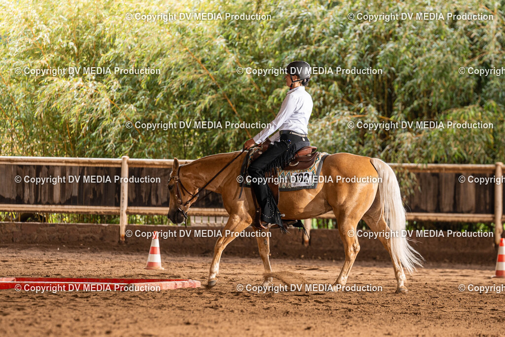 Erbach Tag 1-115 | dv-media-shop - Realisiert mit Pictrs.com