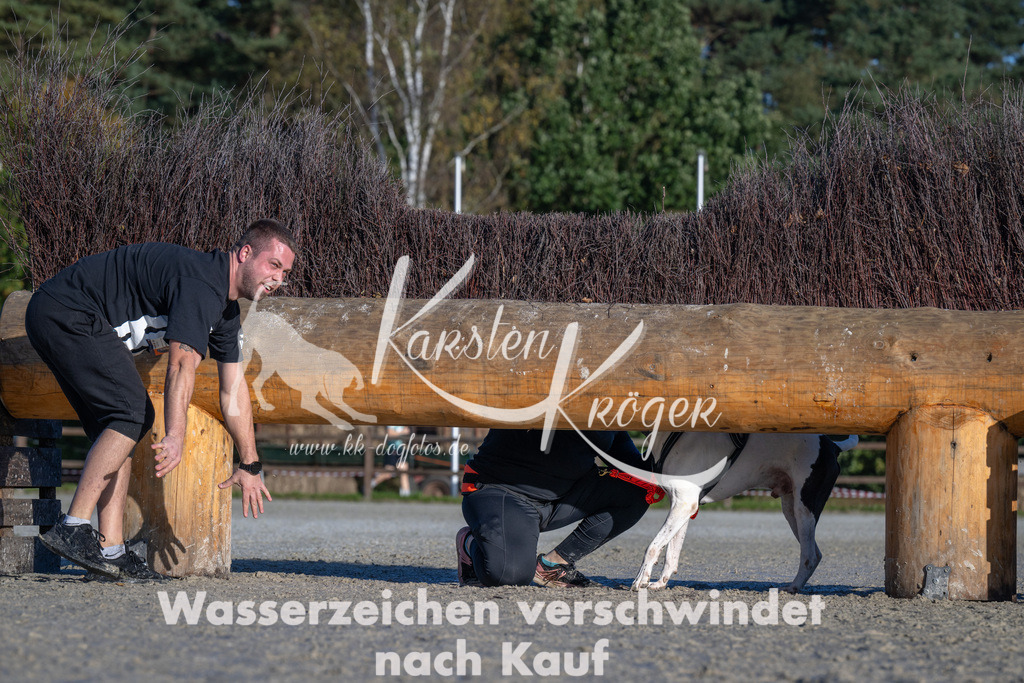 1024-_ZZ91049 | kk-dogfotos