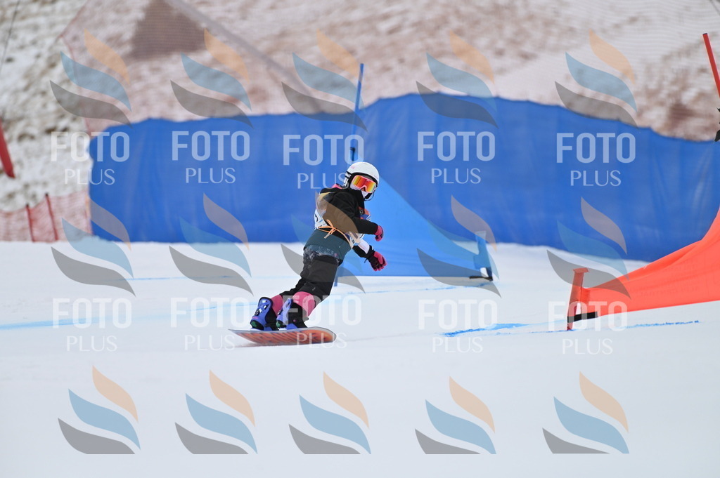 BGV_3481 | holidayphoto