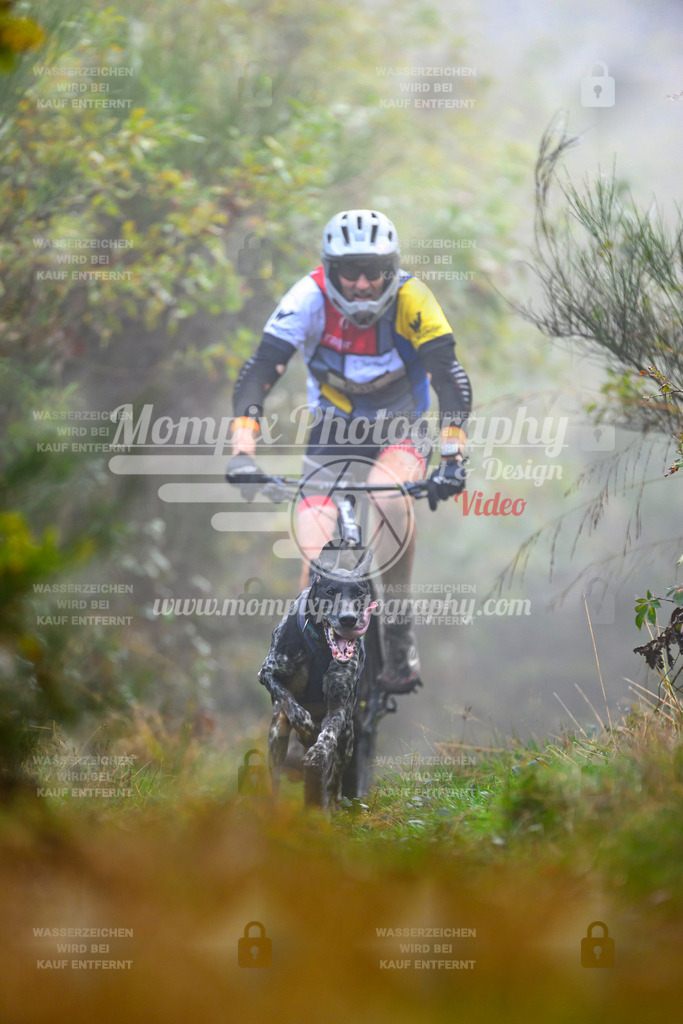 MompixPhotography_20TSB_E4_Bike-59 | PayLife