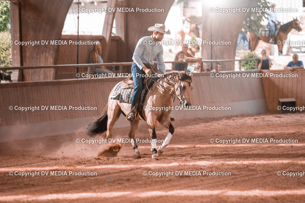 NE300690 | dv-media-shop - Realisiert mit Pictrs.com