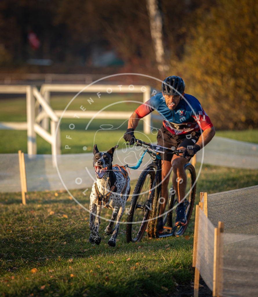 CaniXpix_DV3A9389 | Hundefotografie, Tierfotograf, Pfotenfotografie, Fotoshooting Hund, Hunde Portrait, Hundesport, Hundeportraits, Heideshooting, Hunde, Sportfotograf, Hundefotograf, Turnierhundsport, THS,  - Realisiert mit Pictrs.com