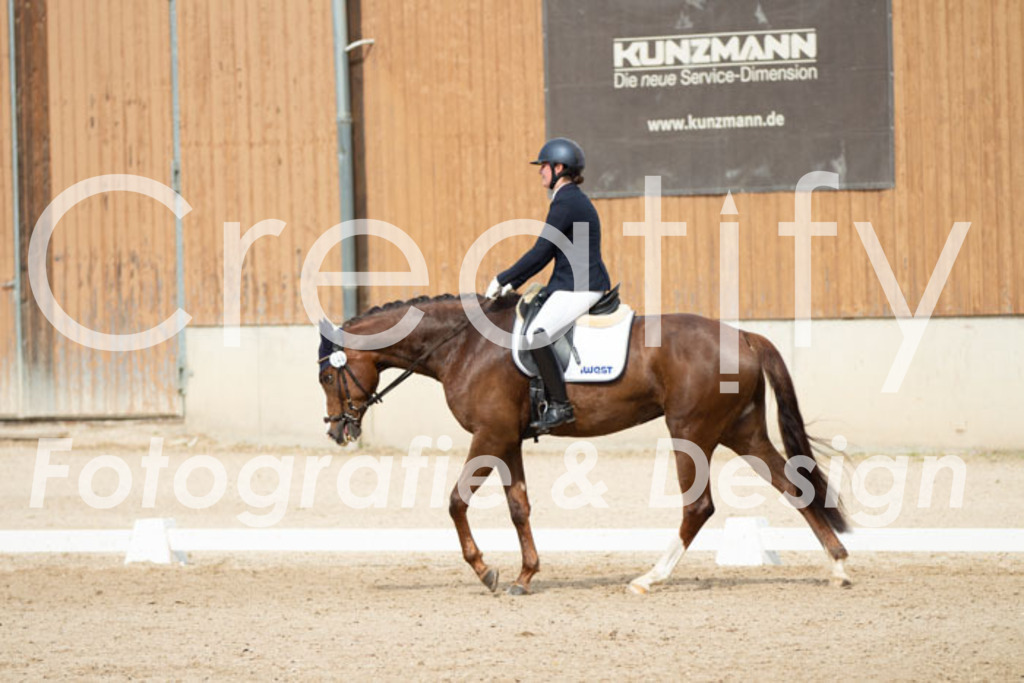 IMG_1625 | Creatify Fotografie