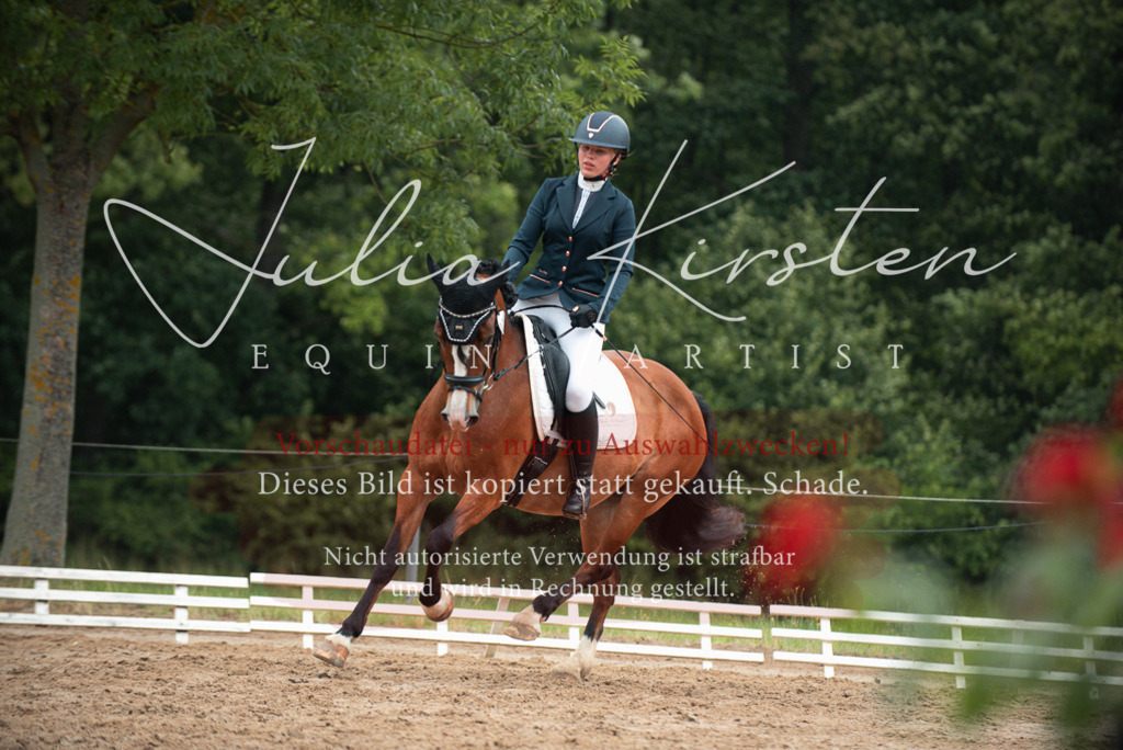 DSC_9853 | Pferde- und Turnierfotografie in Westsachsen. Pferdeportraits, Auftragszeichnungen und intuitive Kunst.