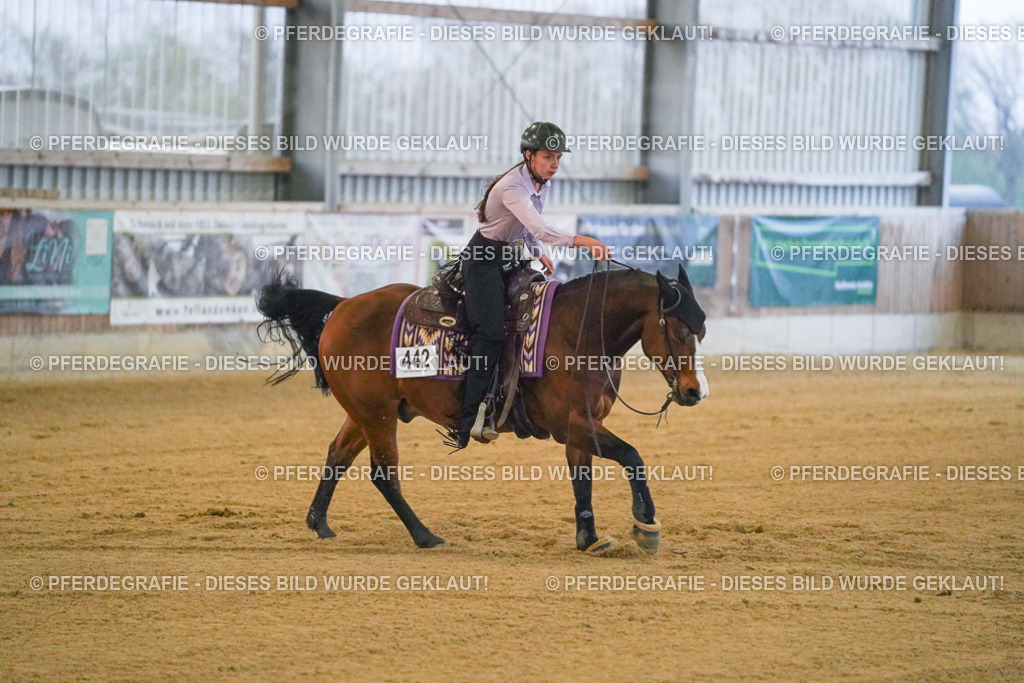 DSC09391 | Pferdegrafie