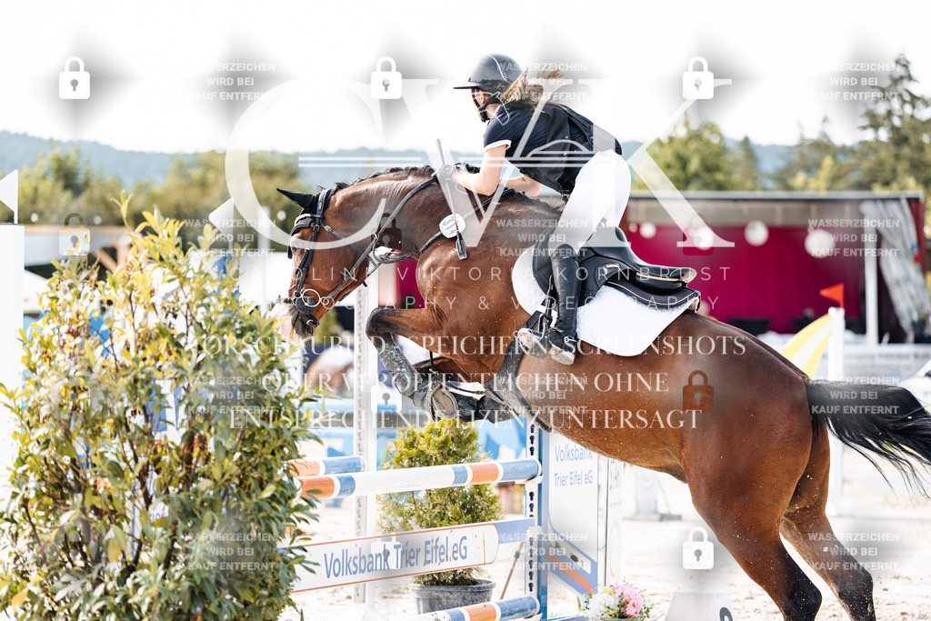 CK905791 | Turnierfotografie Pferdefotografie Trier Rheinland-Pfalz Pferdesport Reitsport Tierfotografie Sportfotografie Pferdevideo Pferdevideografie Equestrianvideography equestrianphotography  - Realisiert mit Pictrs.com