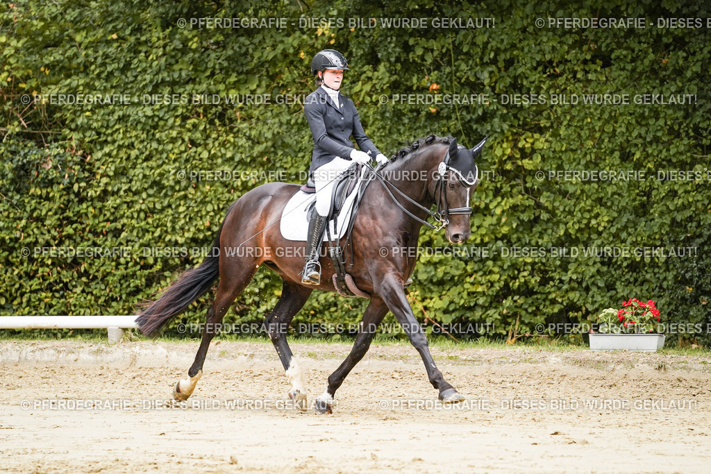 DSC03884 | Pferdegrafie