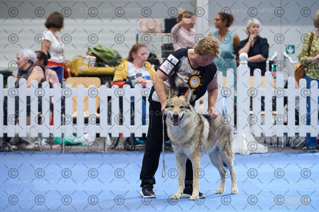 202406_ÖKV-IHA-Tulln24_DSC_4887 | proPHOTO - Realisiert mit Pictrs.com