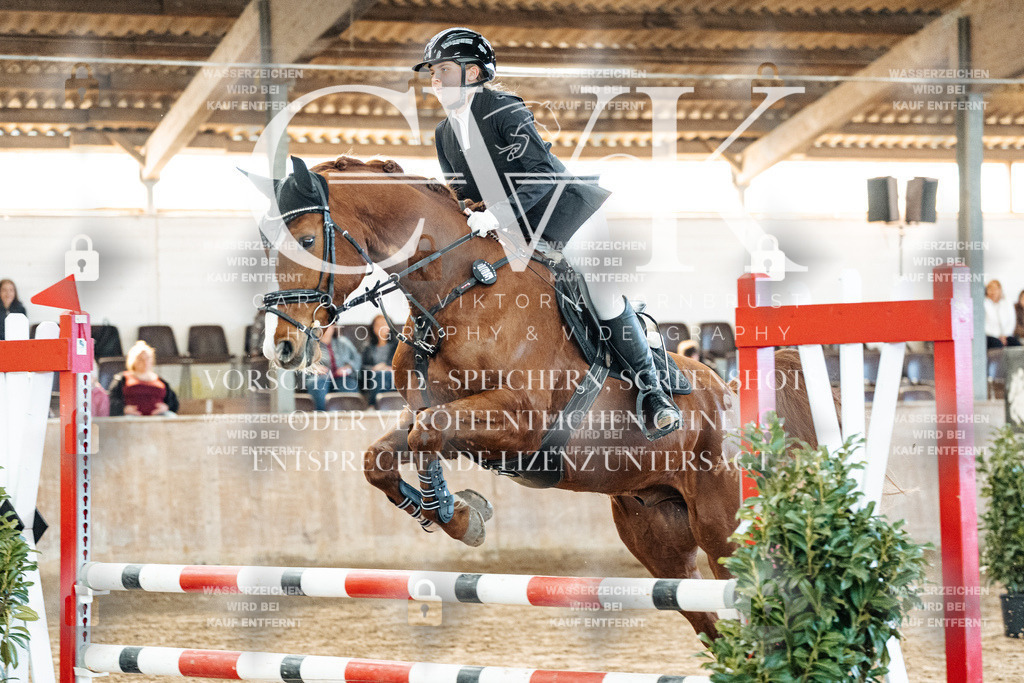 CK904119 | Turnierfotografie Pferdefotografie Trier Rheinland-Pfalz Pferdesport Reitsport Tierfotografie Sportfotografie Pferdevideo Pferdevideografie Equestrianvideography equestrianphotography  - Realisiert mit Pictrs.com