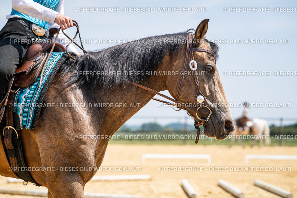 DSC00964 | Pferdegrafie