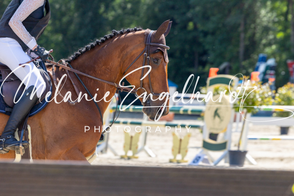 7I8A0179 | melanie-engelhardt-photography - Realisiert mit Pictrs.com