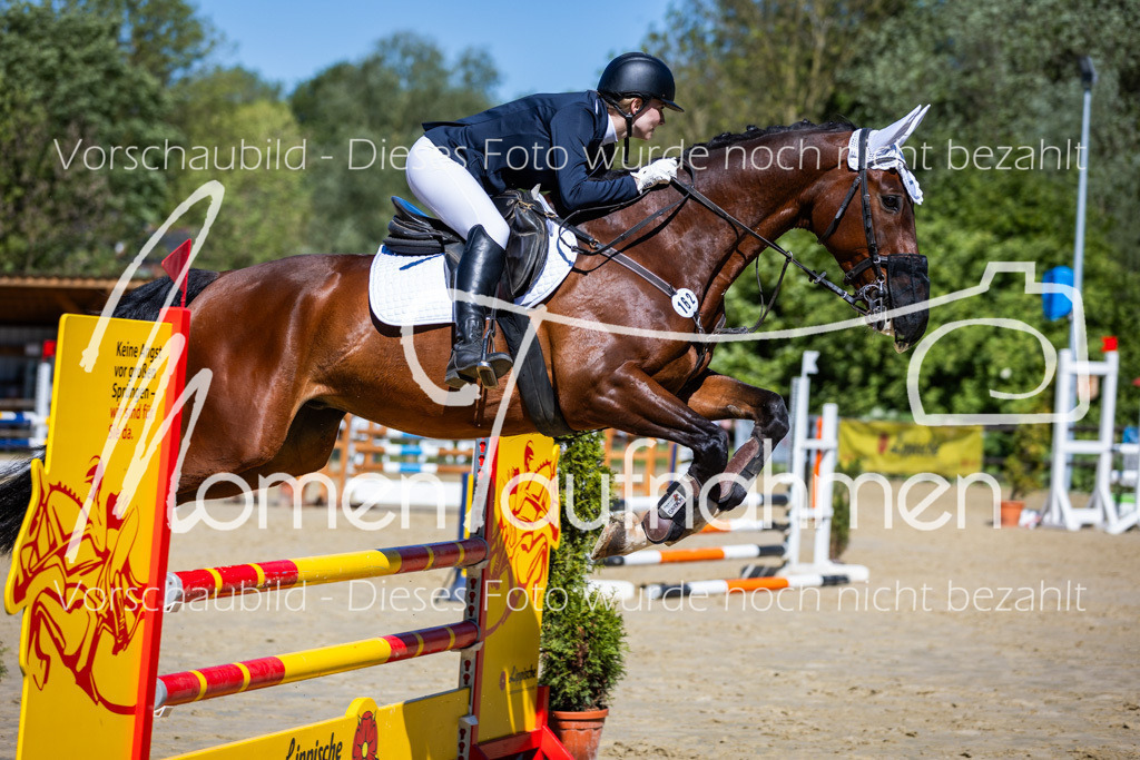 Donop24-A2Spr-148 | MomenTaufnahmen Pferdesportfotos