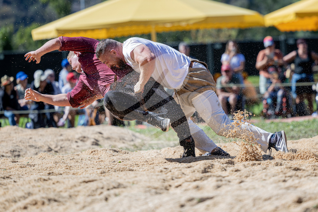 TESSINER2025_03_Gang_0451 | Die Schwinger des Schwyzer Kantonalen Schwingerverbandes: Fotos, die Dynamik und Leidenschaft festhalten, sowie emotionale Momente aus dem traditionellen Schwingsport zeigen. - Realisiert mit Pictrs.com