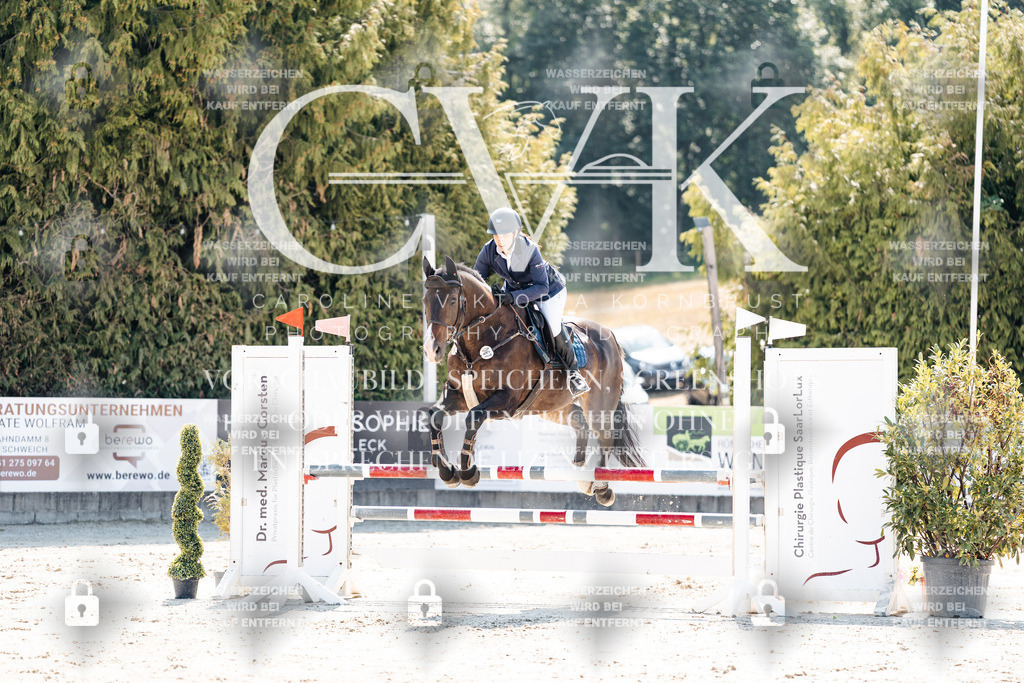 CK908679 | Turnierfotografie Pferdefotografie Trier Rheinland-Pfalz Pferdesport Reitsport Tierfotografie Sportfotografie Pferdevideo Pferdevideografie Equestrianvideography equestrianphotography  - Realisiert mit Pictrs.com