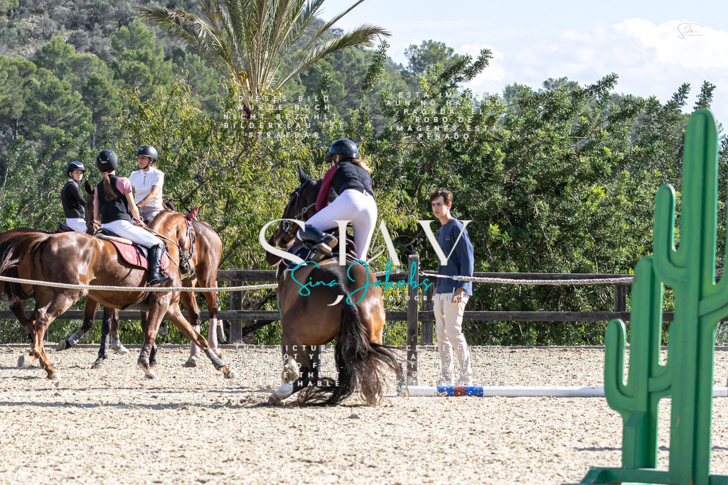 IMG_0358 | s-jay-photography - Realisiert mit Pictrs.com