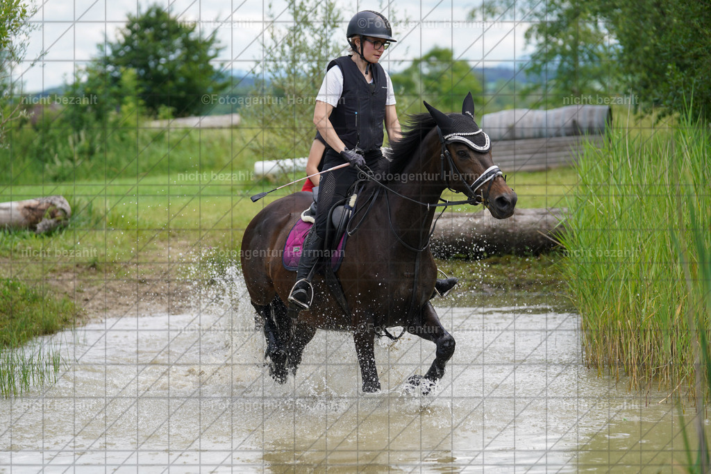 20240622-FAH07552 | Turnierfotografen Bayern, Reitsportbilder aus dem Geländekurs mit Felix Etzel auf dem Gut Waitzacker 2024