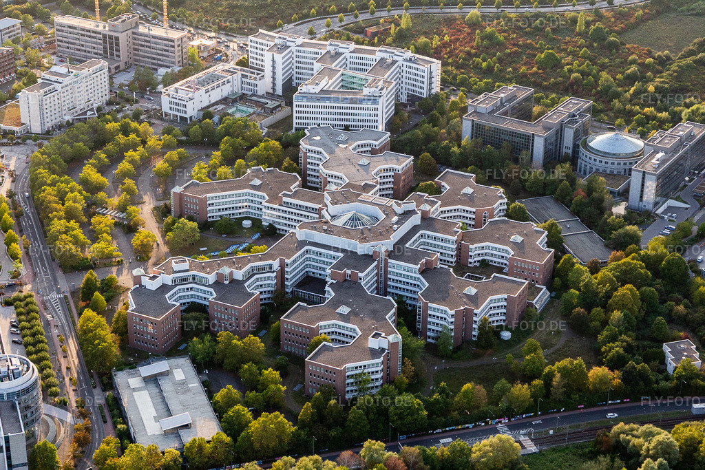 Luftbild: Verwaltungsgebäude des Unternehmens der Bundesrepublik Deutschland - Finanzagentur GmbH - auch das Lurgihaus genannt im Stadtteil Niederursel am Main im Ortsteil Niederursel in Frankfurt im Bundesland Hessen in Deutschland. Foto: IMG_117681.jpg vom 10.09.2019 durch Werner Riehm/FLY-FOTO.de