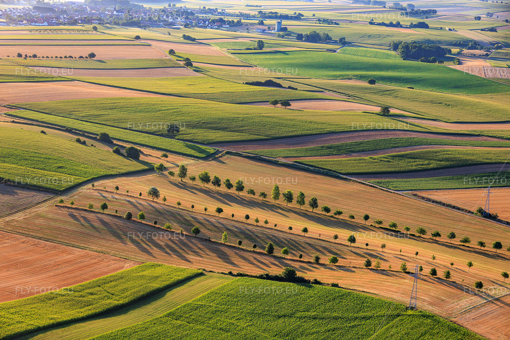 Vue aérienne: Baumreihen am Rand von Feldwegen zwischen Stoppelfeldern à Schleithal dans le département Bas Rhin, France – .Photo: IMG_158098.jpg prise le 25/07/2026 par Werner Riehm/FLY-FOTO.eu – Résolution de l'original: 6000 x 4000 px