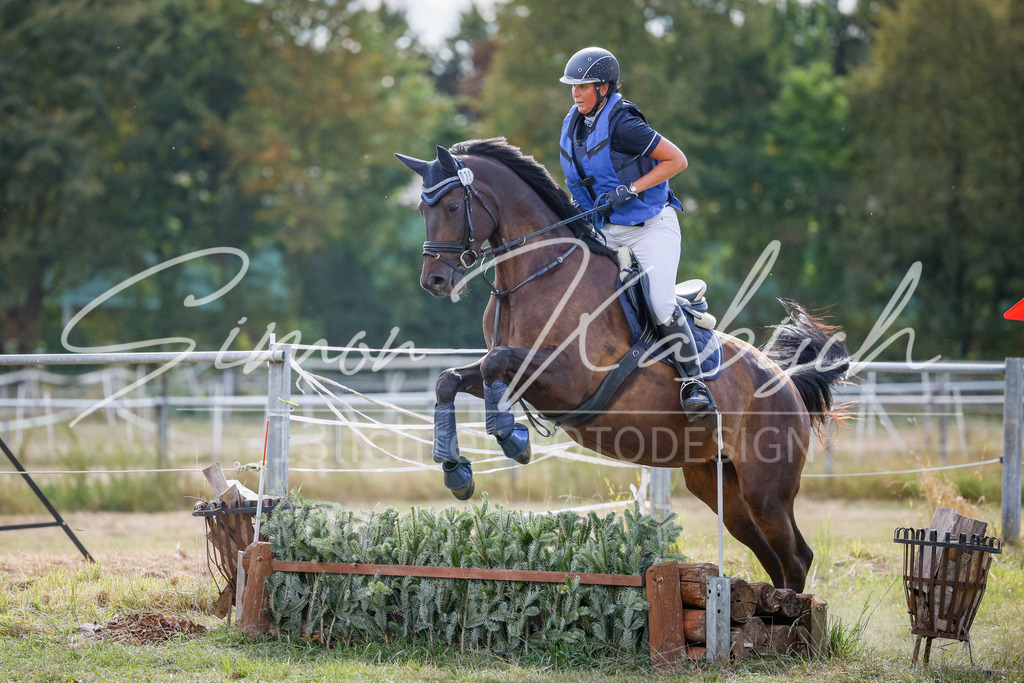 20250905-_3LI1028 | Tierfotografie Pferde, Hunde, Katzen, Haustiere.
Turnierfotografie Reitturniere, Reiten, Springreiten, Dressur in Hanau, dem Main-Kinzig-Kreis und dem Rhein-Main- Gebiet um Frankfurt