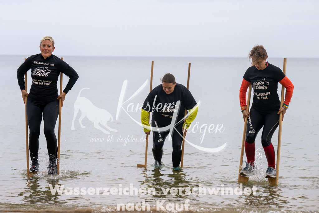 1301_ZZ93375 | kk-dogfotos