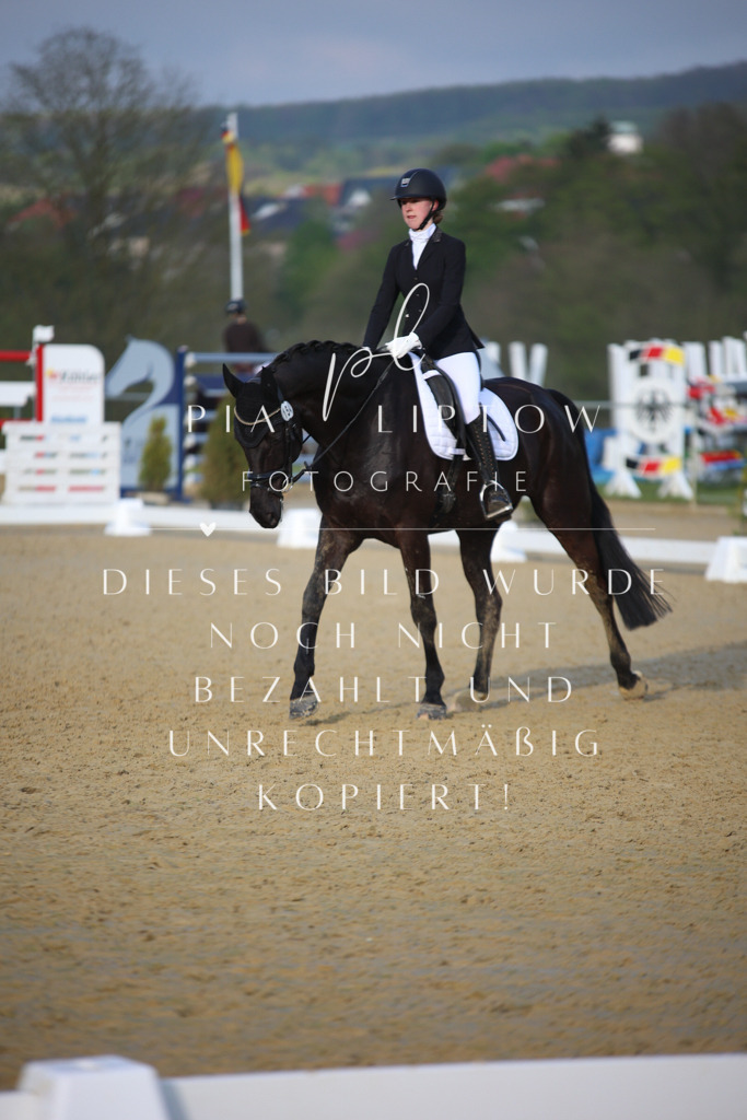 IMGT8884 | pl-fotografie